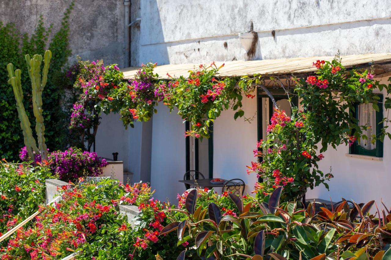 Il Pettirosso In Positano Villa Exterior foto