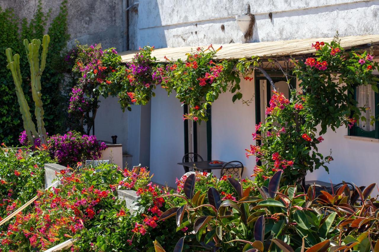 Il Pettirosso In Positano Villa Exterior foto