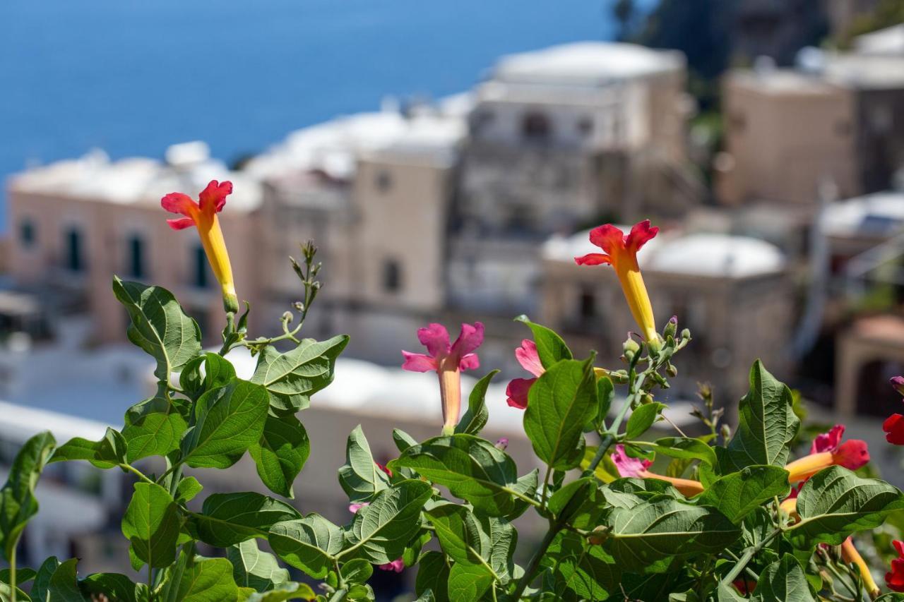 Il Pettirosso In Positano Villa Exterior foto